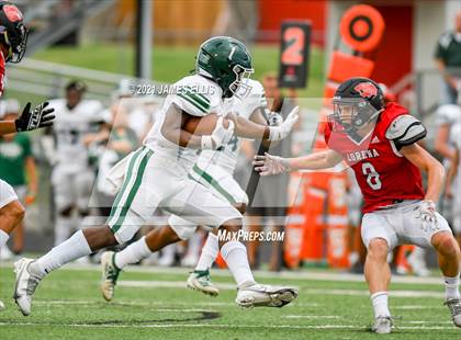 Thumbnail 3 in Lorena vs. Franklin photogallery.
