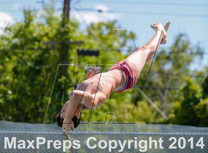 Thumbnail 3 in CIF SJS Boys Diving Championships photogallery.