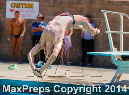 Thumbnail 3 in CIF SJS Boys Diving Championships photogallery.