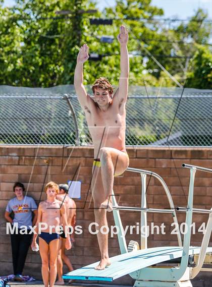 Thumbnail 3 in CIF SJS Boys Diving Championships photogallery.