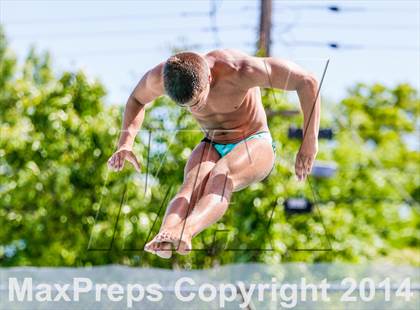 Thumbnail 3 in CIF SJS Boys Diving Championships photogallery.