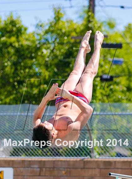 Thumbnail 2 in CIF SJS Boys Diving Championships photogallery.