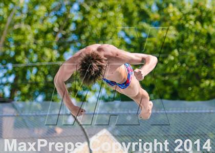Thumbnail 1 in CIF SJS Boys Diving Championships photogallery.