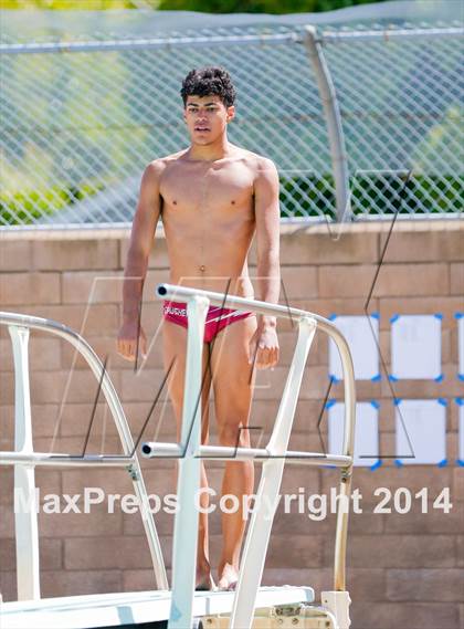 Thumbnail 1 in CIF SJS Boys Diving Championships photogallery.