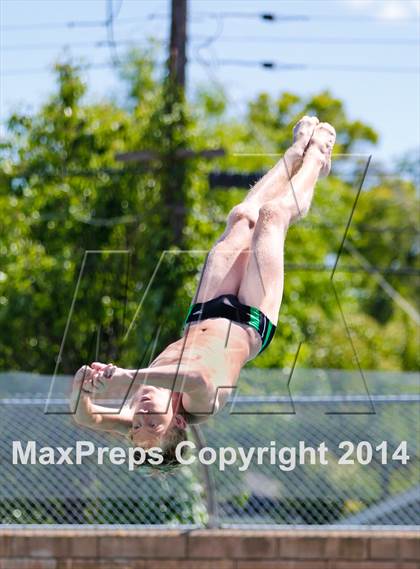 Thumbnail 2 in CIF SJS Boys Diving Championships photogallery.