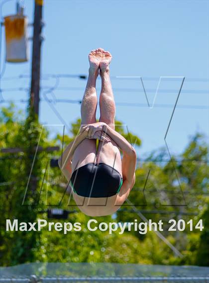 Thumbnail 1 in CIF SJS Boys Diving Championships photogallery.