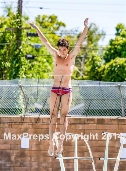 Thumbnail 1 in CIF SJS Boys Diving Championships photogallery.