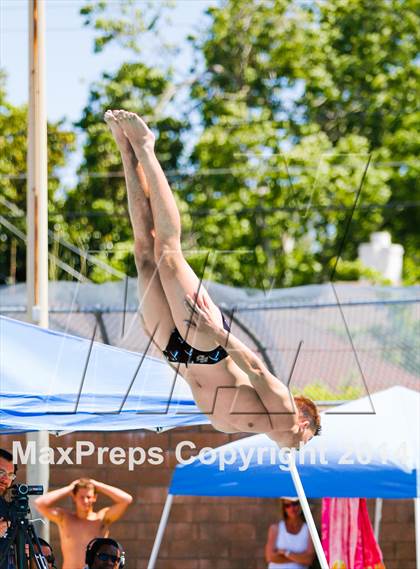 Thumbnail 2 in CIF SJS Boys Diving Championships photogallery.