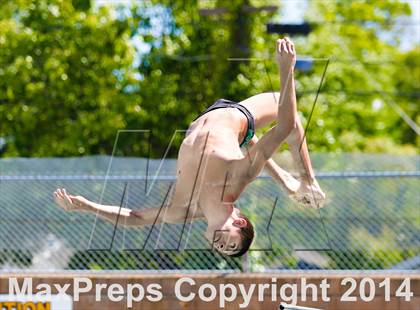 Thumbnail 1 in CIF SJS Boys Diving Championships photogallery.