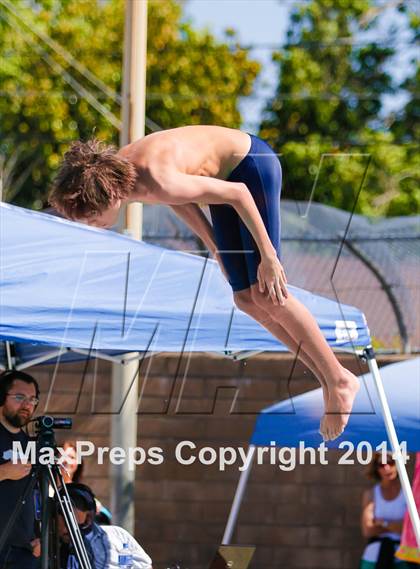 Thumbnail 2 in CIF SJS Boys Diving Championships photogallery.