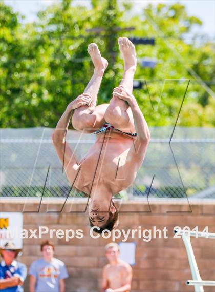 Thumbnail 1 in CIF SJS Boys Diving Championships photogallery.