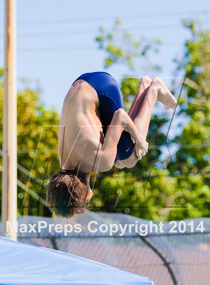 Thumbnail 1 in CIF SJS Boys Diving Championships photogallery.