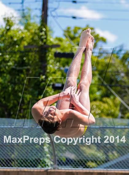 Thumbnail 1 in CIF SJS Boys Diving Championships photogallery.