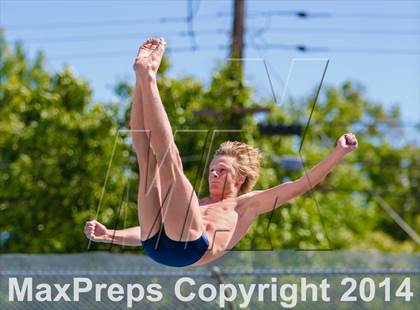 Thumbnail 2 in CIF SJS Boys Diving Championships photogallery.