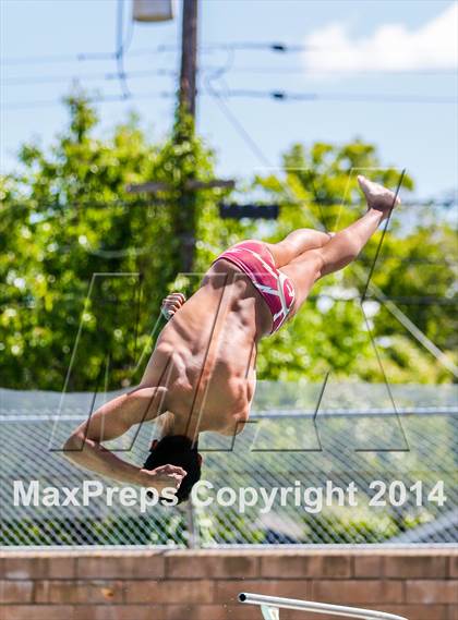 Thumbnail 2 in CIF SJS Boys Diving Championships photogallery.