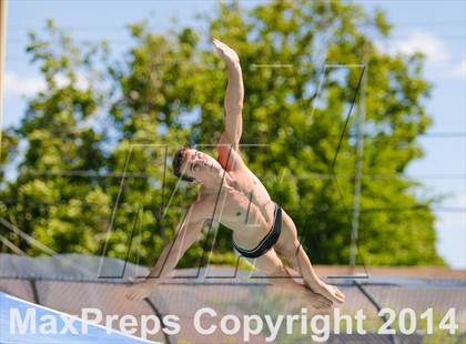 Thumbnail 1 in CIF SJS Boys Diving Championships photogallery.
