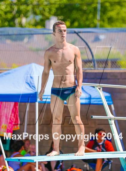 Thumbnail 1 in CIF SJS Boys Diving Championships photogallery.