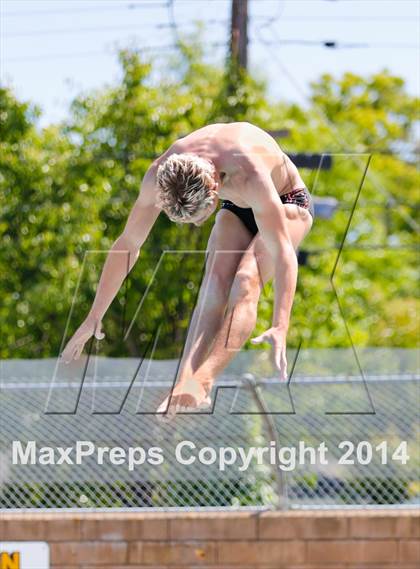 Thumbnail 3 in CIF SJS Boys Diving Championships photogallery.