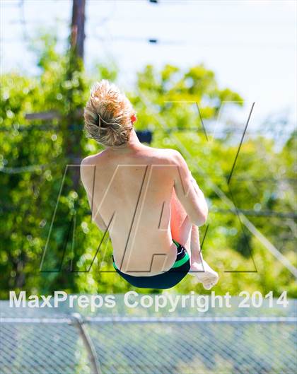 Thumbnail 1 in CIF SJS Boys Diving Championships photogallery.