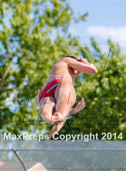 Thumbnail 3 in CIF SJS Boys Diving Championships photogallery.