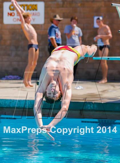 Thumbnail 1 in CIF SJS Boys Diving Championships photogallery.
