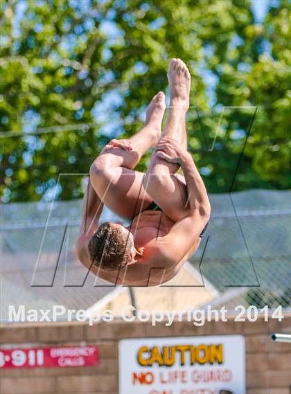Thumbnail 3 in CIF SJS Boys Diving Championships photogallery.