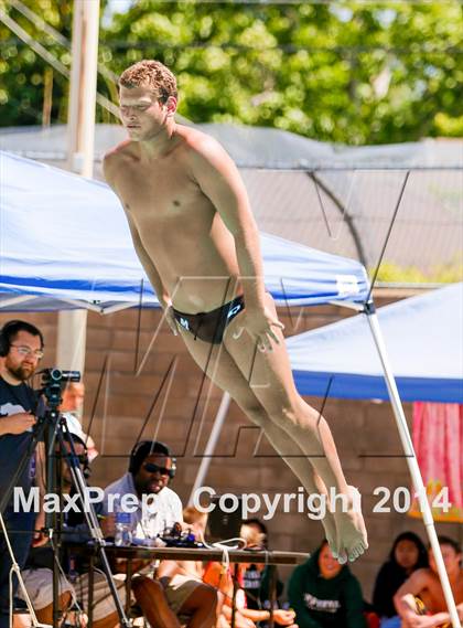 Thumbnail 1 in CIF SJS Boys Diving Championships photogallery.
