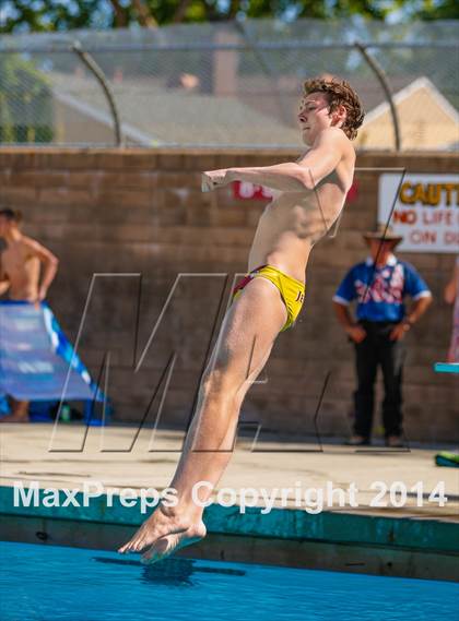 Thumbnail 1 in CIF SJS Boys Diving Championships photogallery.