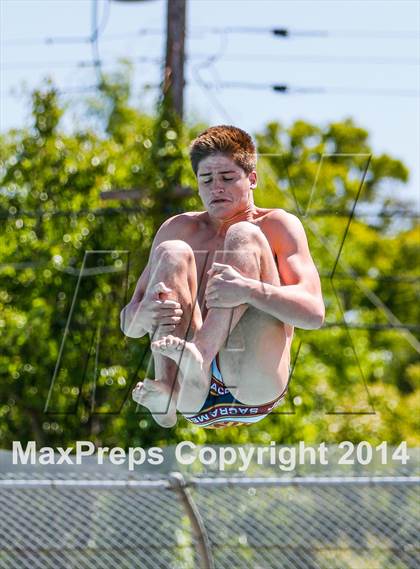 Thumbnail 1 in CIF SJS Boys Diving Championships photogallery.