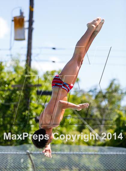 Thumbnail 1 in CIF SJS Boys Diving Championships photogallery.