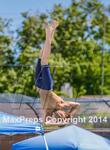 Thumbnail 1 in CIF SJS Boys Diving Championships photogallery.