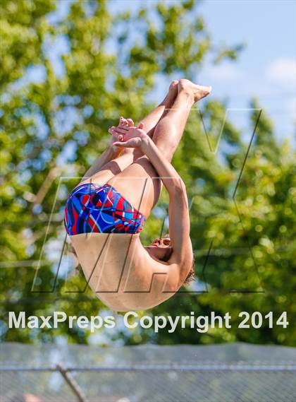 Thumbnail 1 in CIF SJS Boys Diving Championships photogallery.