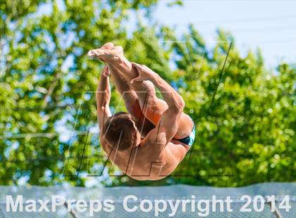 Thumbnail 2 in CIF SJS Boys Diving Championships photogallery.