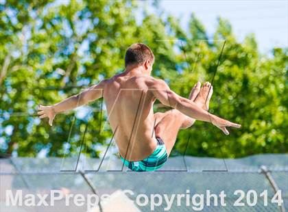 Thumbnail 3 in CIF SJS Boys Diving Championships photogallery.