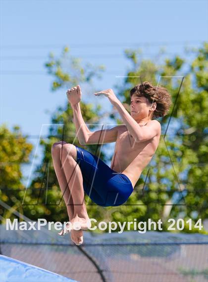 Thumbnail 2 in CIF SJS Boys Diving Championships photogallery.