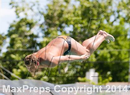 Thumbnail 3 in CIF SJS Boys Diving Championships photogallery.