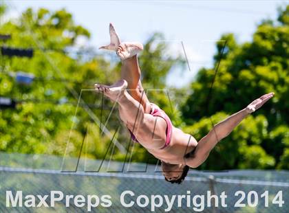 Thumbnail 3 in CIF SJS Boys Diving Championships photogallery.