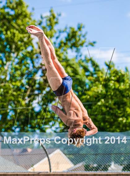 Thumbnail 2 in CIF SJS Boys Diving Championships photogallery.
