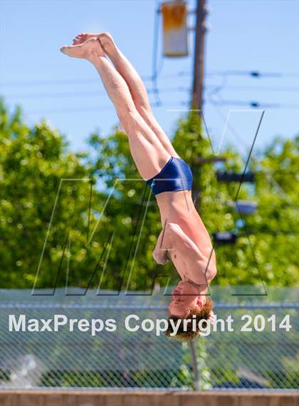 Thumbnail 1 in CIF SJS Boys Diving Championships photogallery.