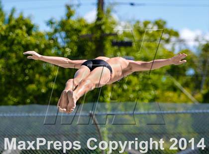 Thumbnail 3 in CIF SJS Boys Diving Championships photogallery.