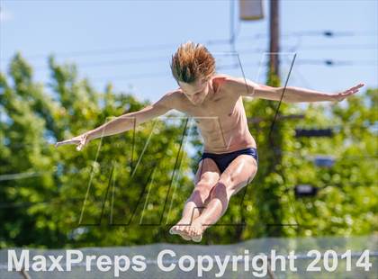 Thumbnail 3 in CIF SJS Boys Diving Championships photogallery.