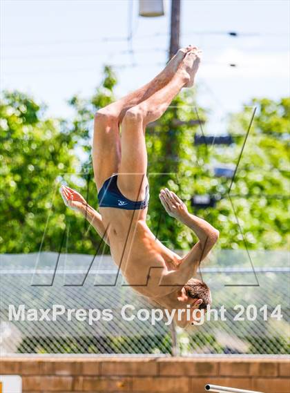 Thumbnail 2 in CIF SJS Boys Diving Championships photogallery.