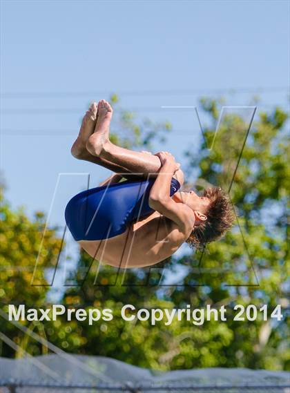 Thumbnail 3 in CIF SJS Boys Diving Championships photogallery.