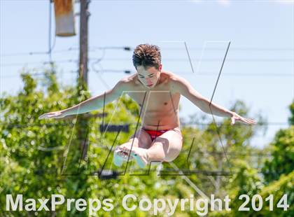 Thumbnail 2 in CIF SJS Boys Diving Championships photogallery.