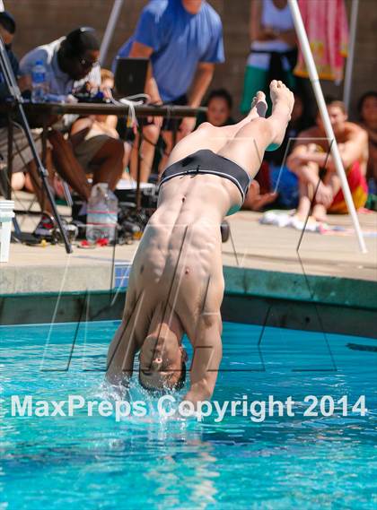 Thumbnail 1 in CIF SJS Boys Diving Championships photogallery.