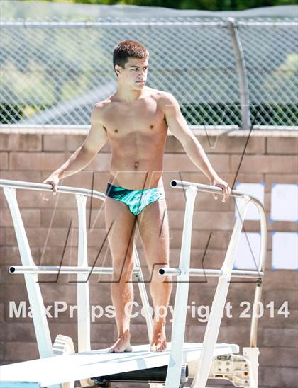 Thumbnail 1 in CIF SJS Boys Diving Championships photogallery.