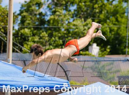 Thumbnail 2 in CIF SJS Boys Diving Championships photogallery.