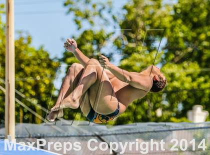 Thumbnail 2 in CIF SJS Boys Diving Championships photogallery.