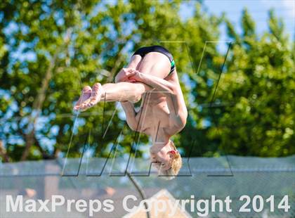 Thumbnail 2 in CIF SJS Boys Diving Championships photogallery.
