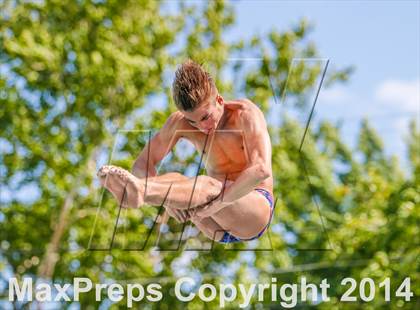 Thumbnail 2 in CIF SJS Boys Diving Championships photogallery.